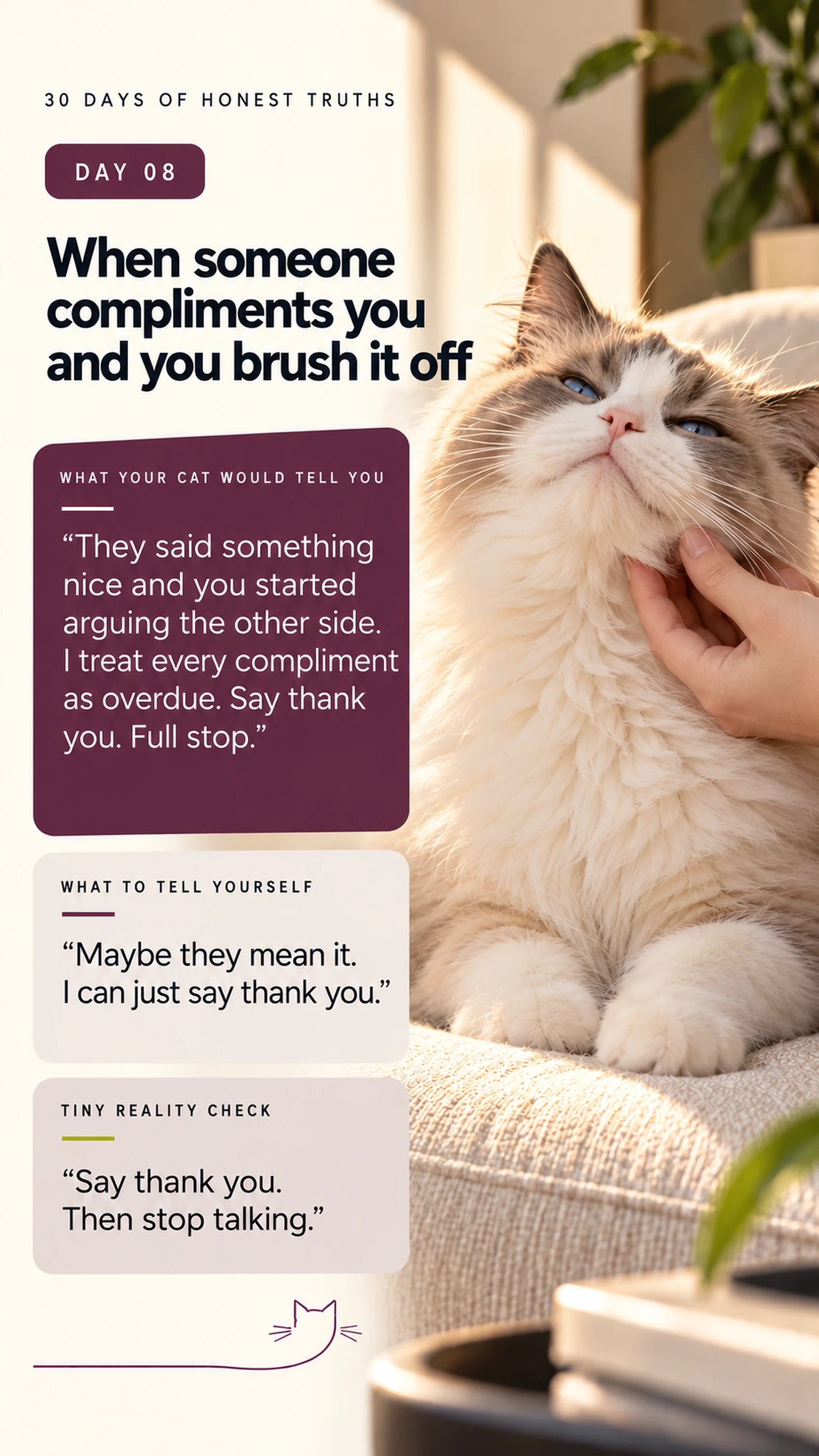 Cat reminder card day 8