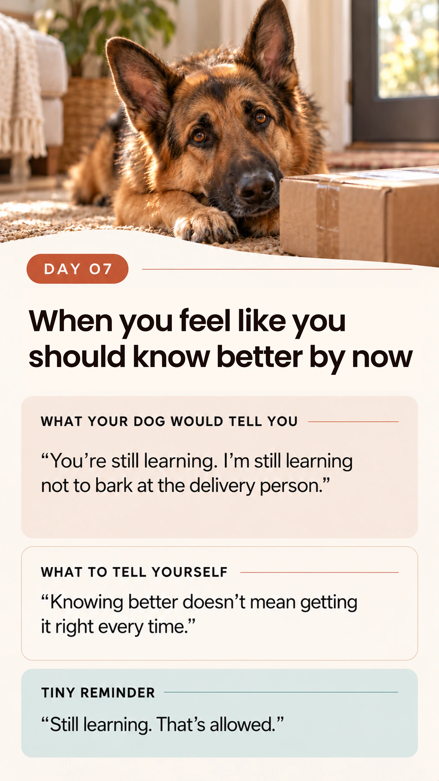 Dog reminder card day 7