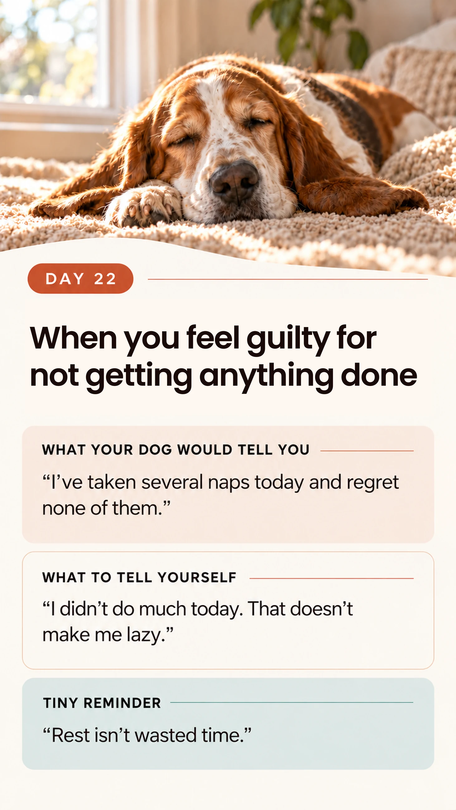 Dog reminder card day 22